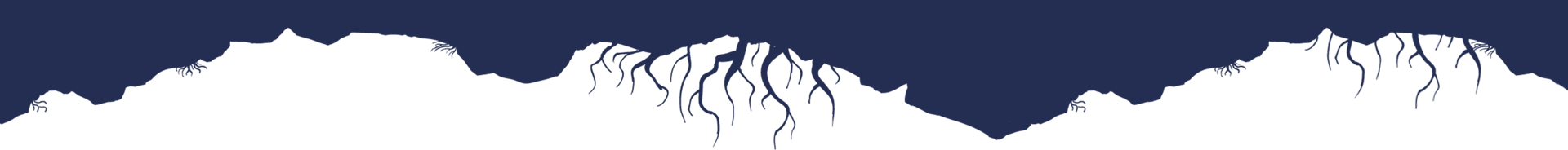 blue_roots